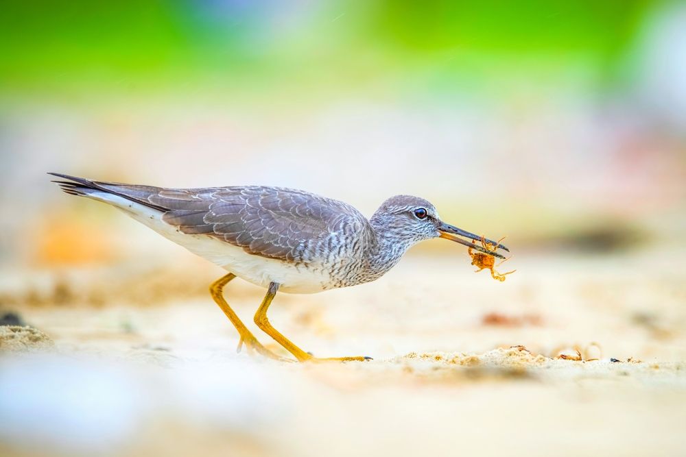 Photograph by Linh Hà Vũ