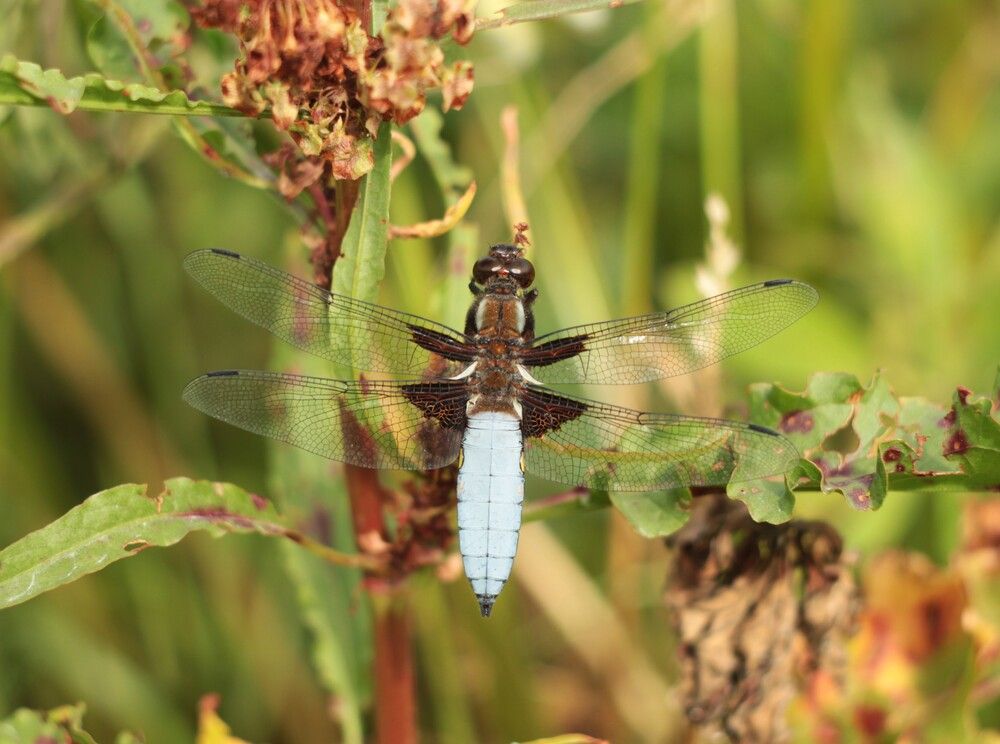 Photograph by Анна Азарёнок
