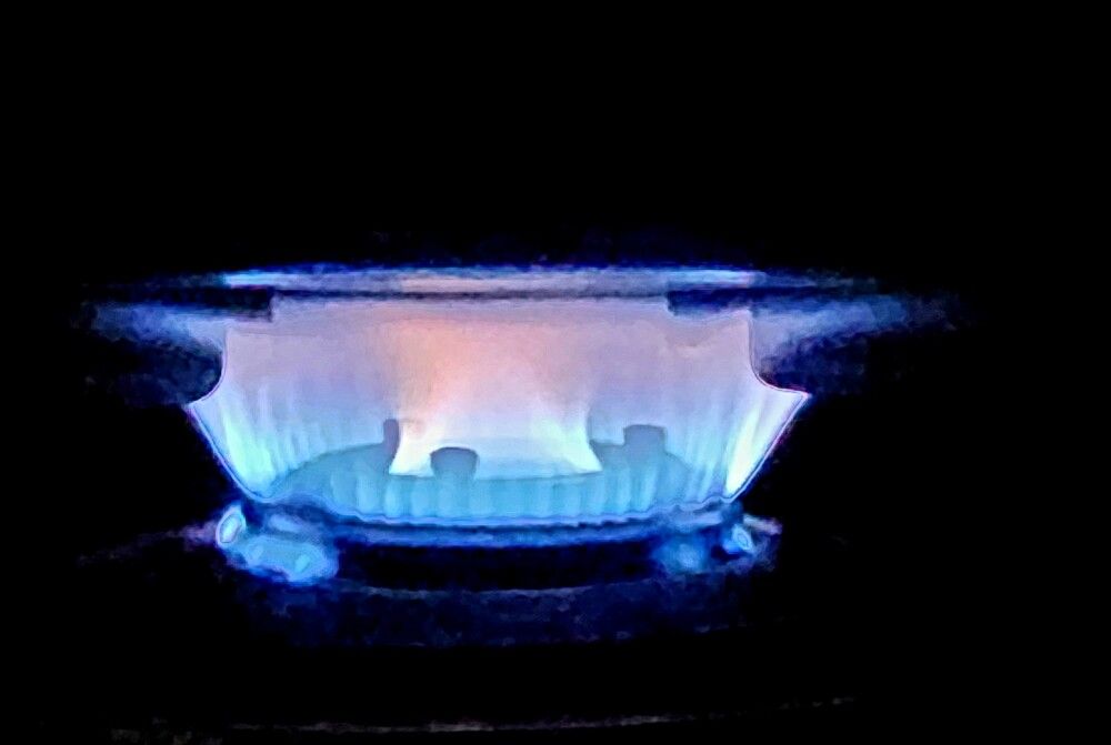 Photograph by G GOVIL