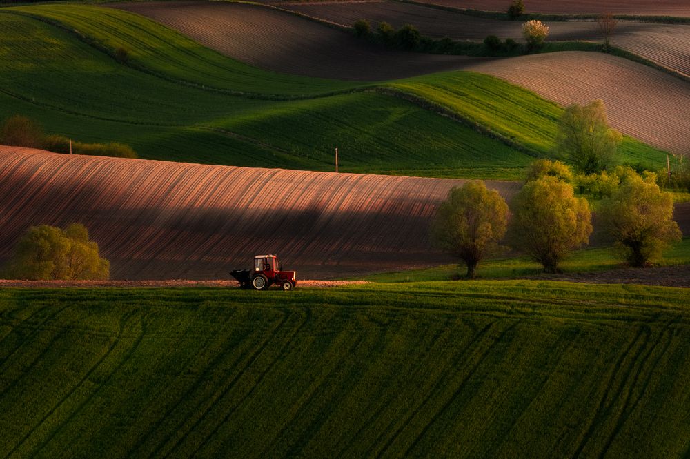 Photograph by Valentin Bițoi