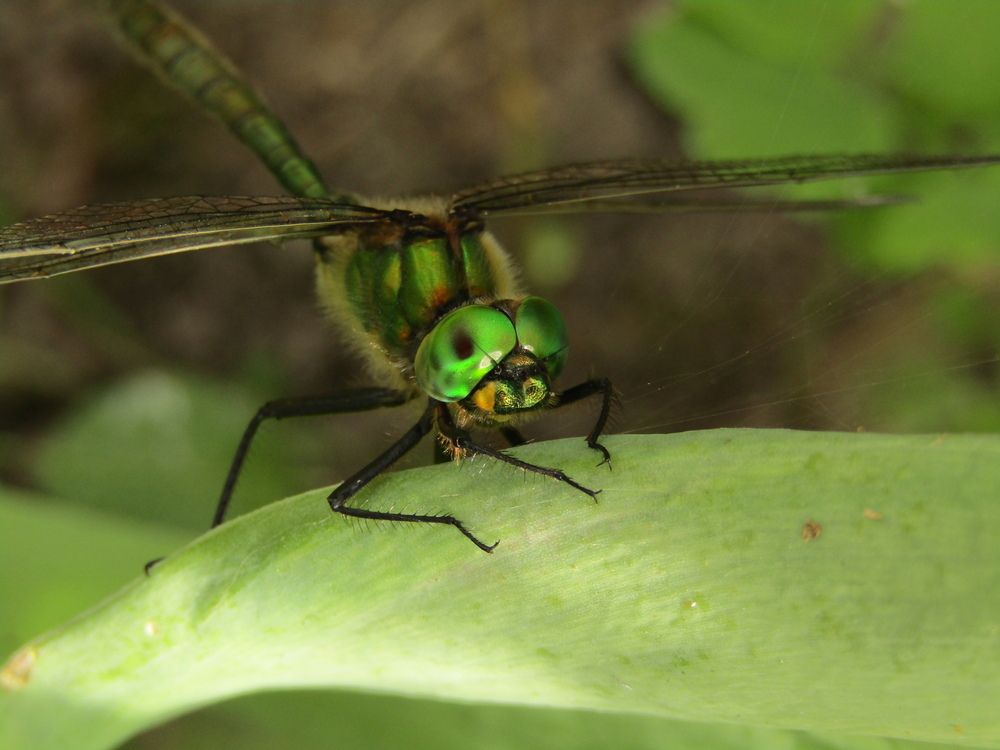 Photograph by Анна Азарёнок