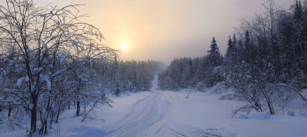 Photograph by Сергей Вершинин