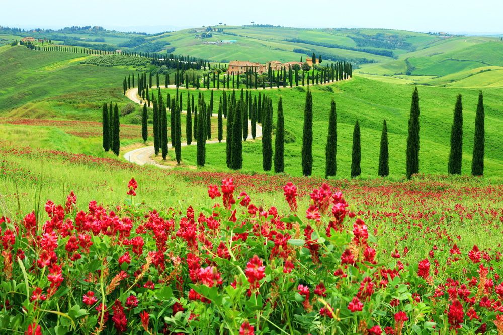 Photograph by Yury Vislaus