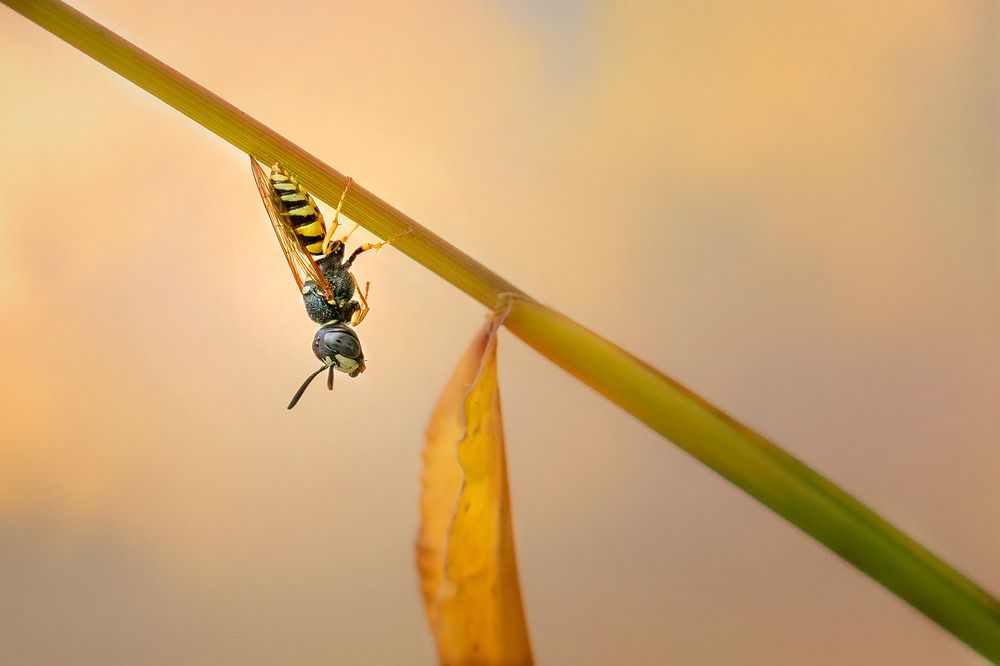 Photograph by Markus Bieck