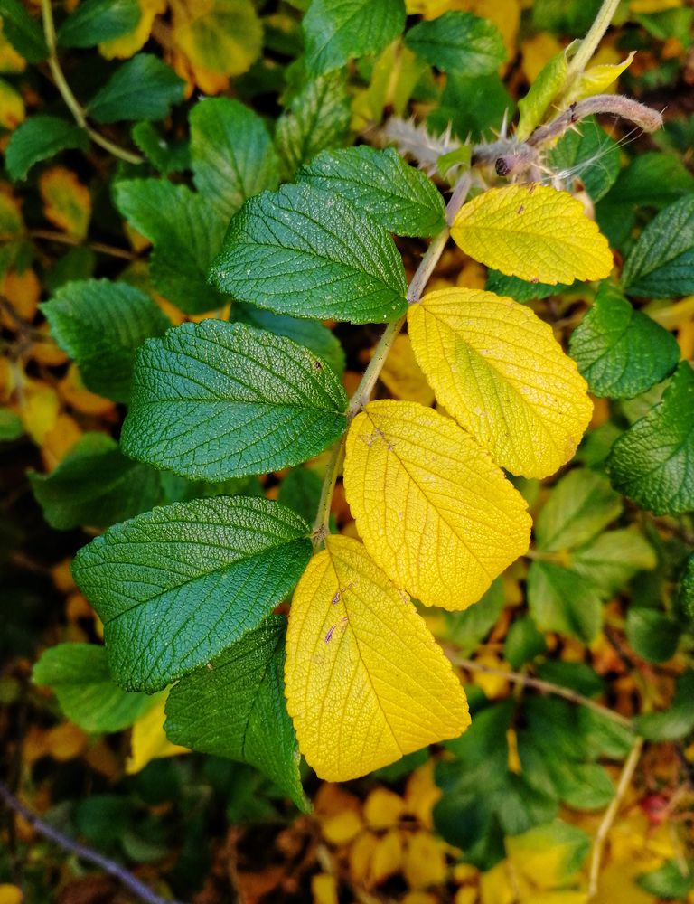 Photograph by Ирина