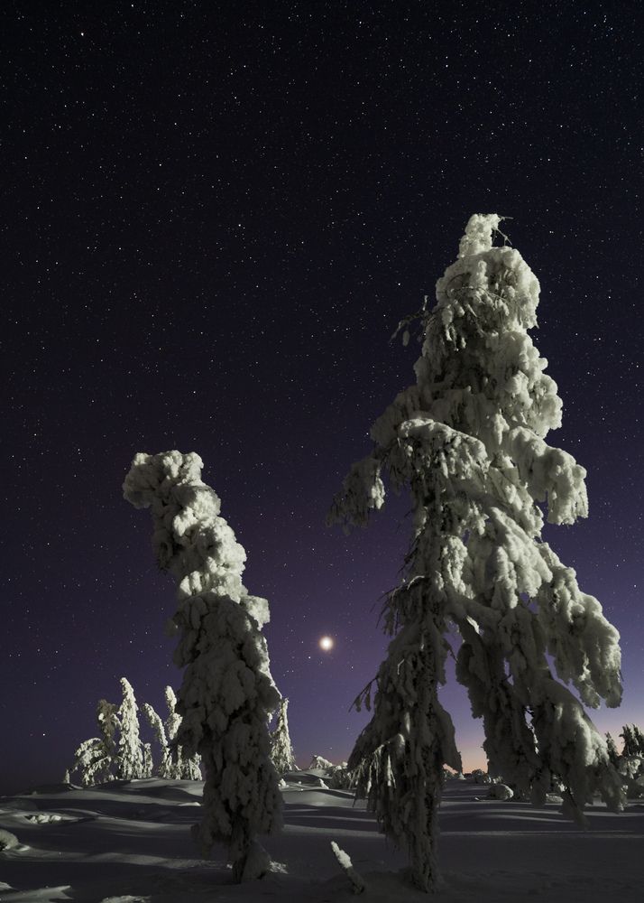 Photograph by Максим Апонасенко