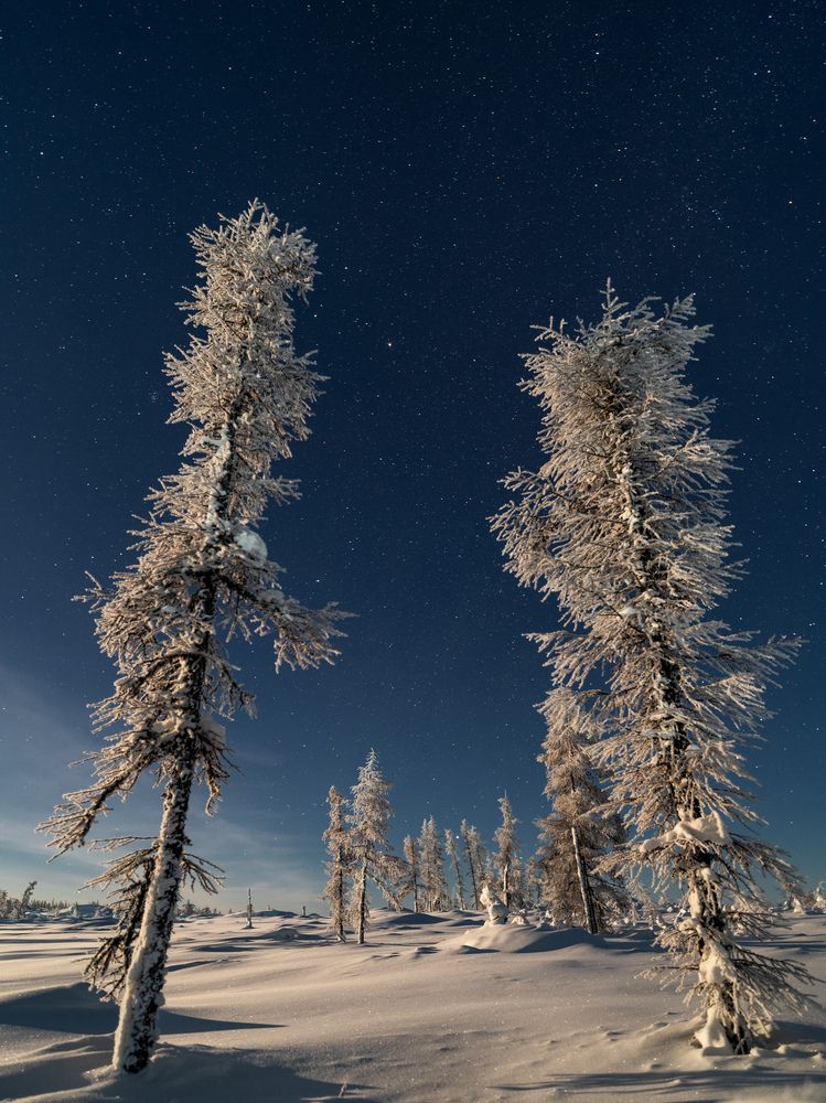 Photograph by Максим Апонасенко