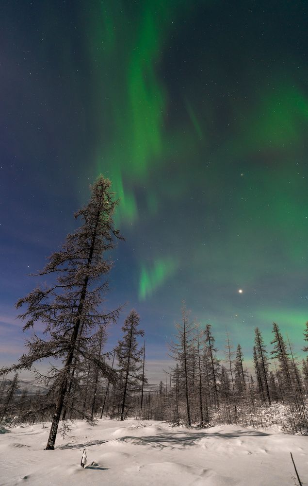 Photograph by Максим Апонасенко