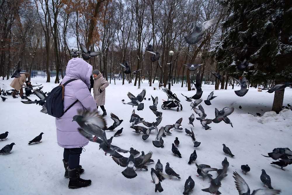 Photograph by Галина Чепиль