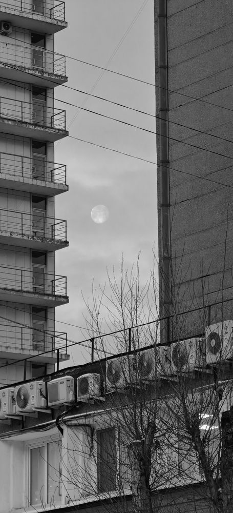 Photograph by Илья Сафаров