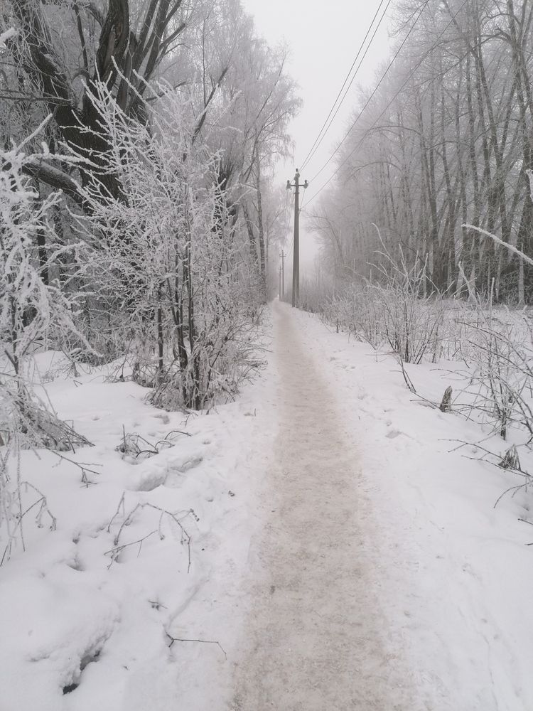 Photograph by Натали Урмакова