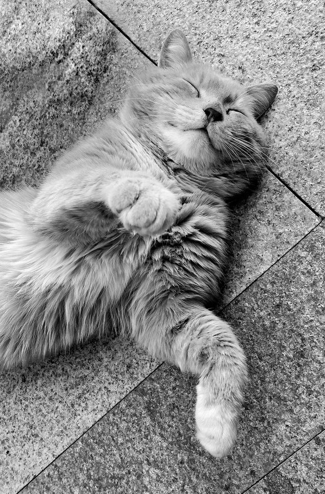 Фотография автора Кулешов Сергей