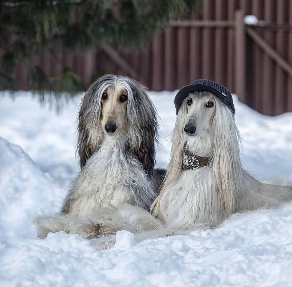 Photograph by Ольга Софронова