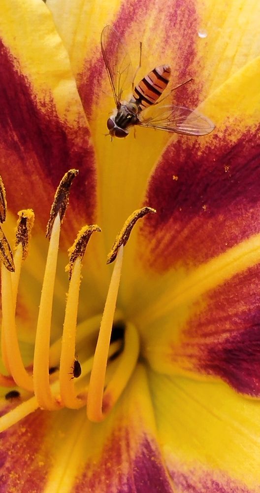 Photograph by Ия Дирко