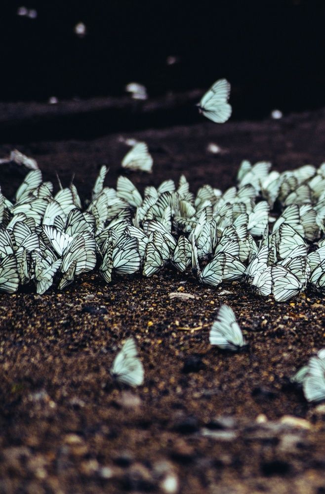 Photograph by Никита Максимов