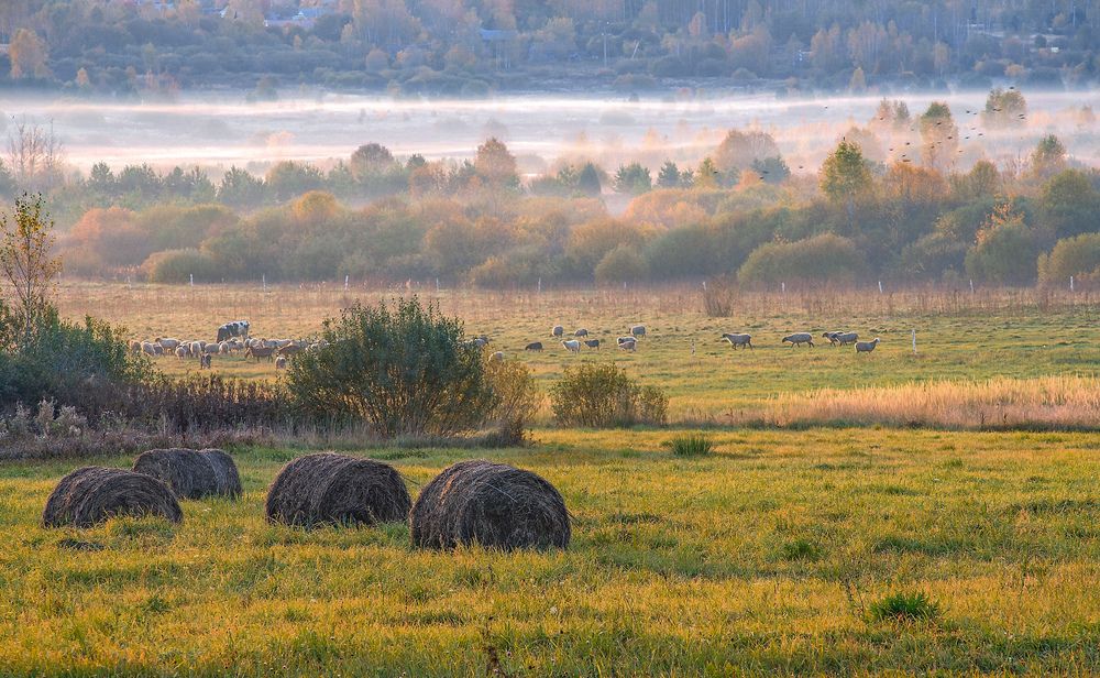 Photograph by Алексеев Дмитрий