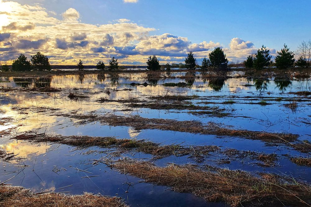 Photograph by Елена Бежина