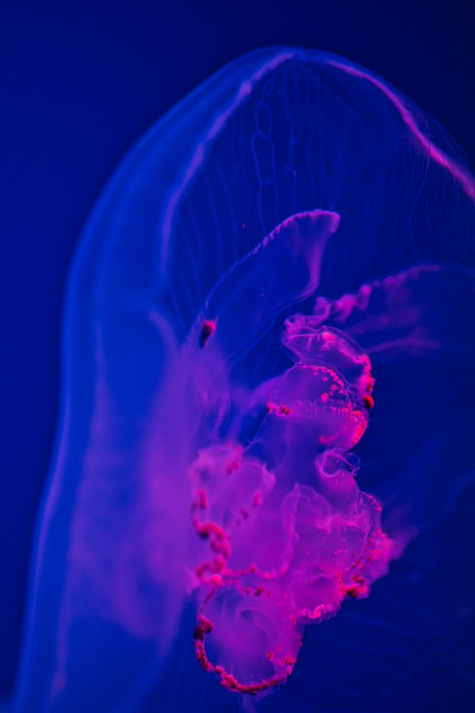 Photograph by Елена Константинова