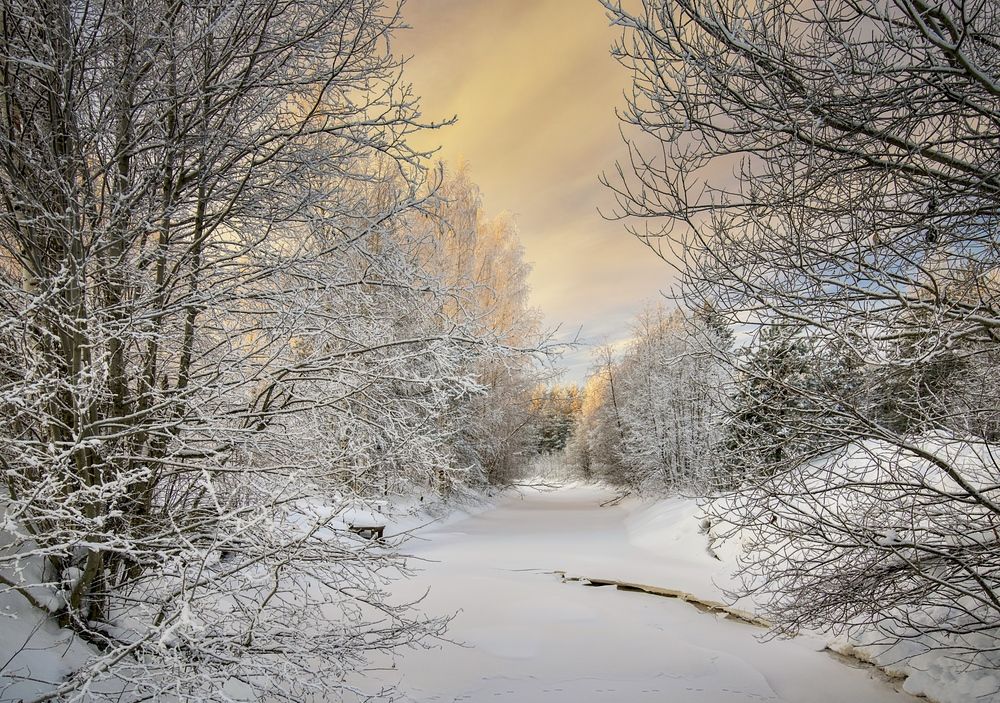 Photograph by Игорь Шишпанов