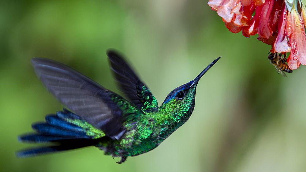 Photograph by Luiz Augusto Magina