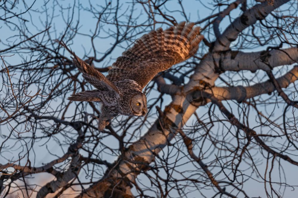 Фотография автора Brian Kinghorn