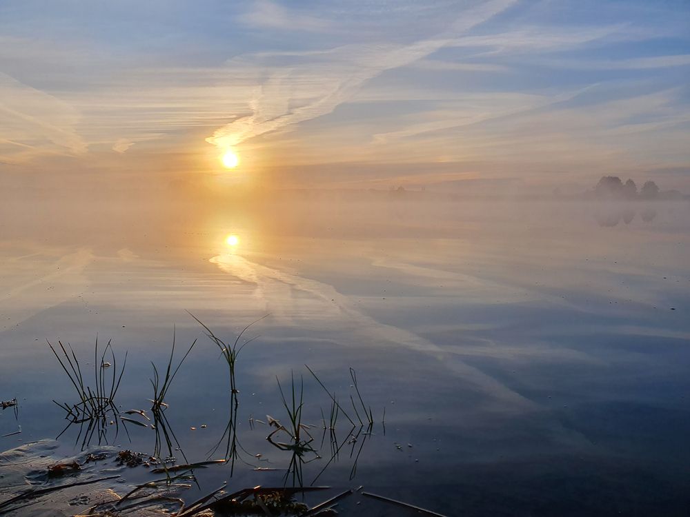 Photograph by Елена Бежина