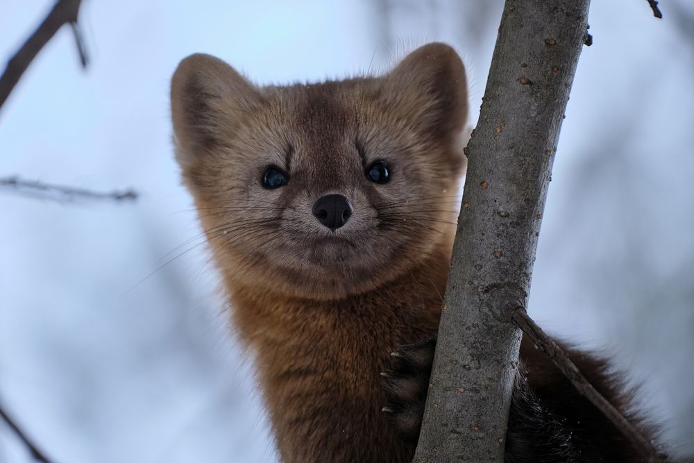 Photograph by Багурский Алексей