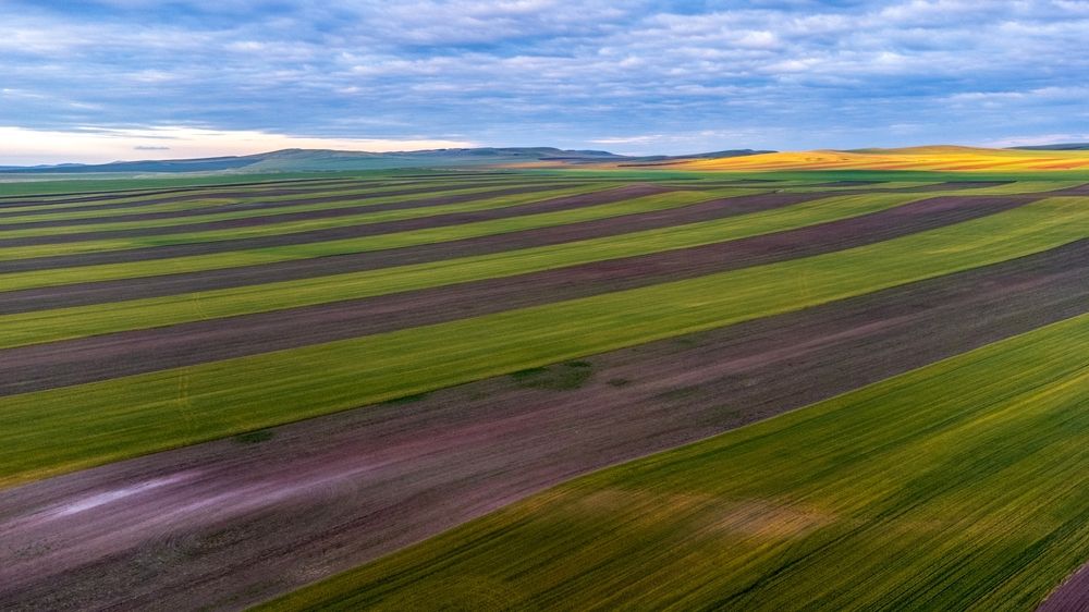 Photograph by Багурский Алексей