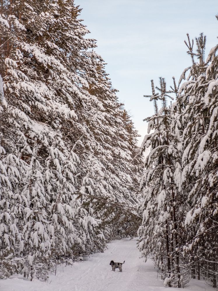 Фотография автора Иван Фомин