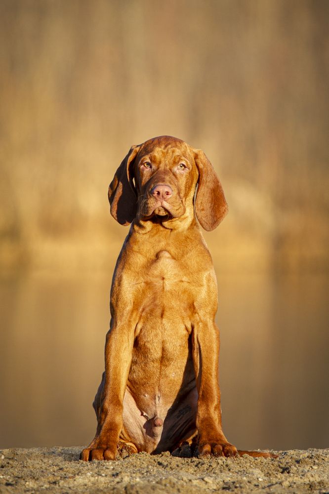 Photograph by Эльнара Исаева