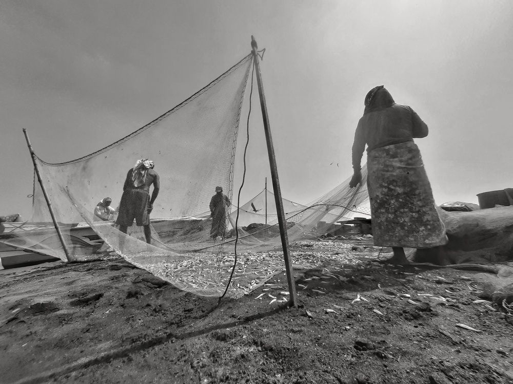 Photograph by Shehan Dondeenu