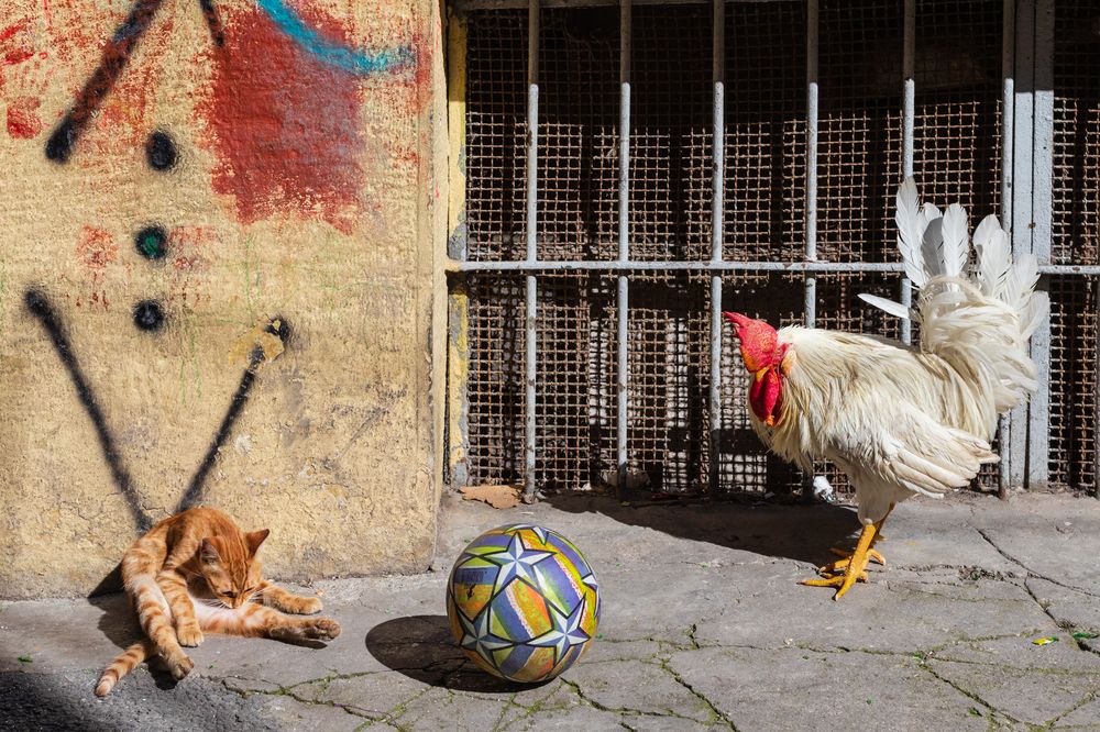 Photograph by Orhan Olmez