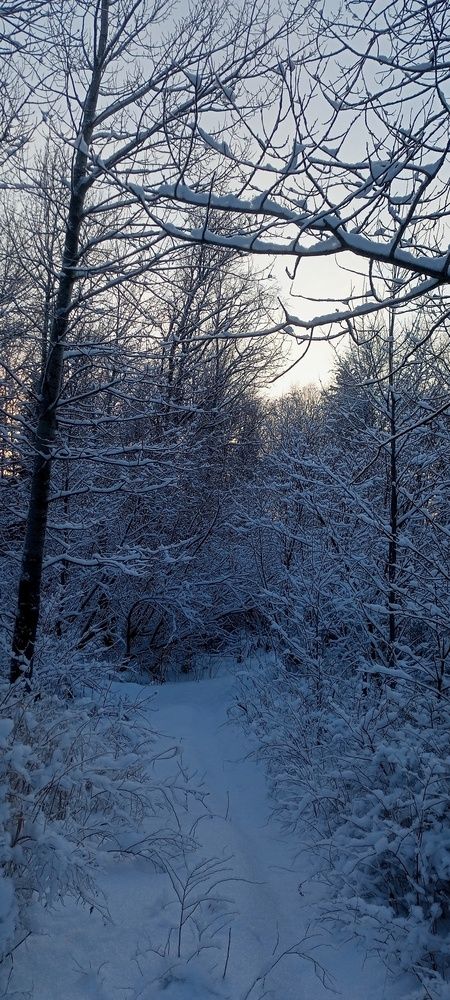 Photo #11931420
