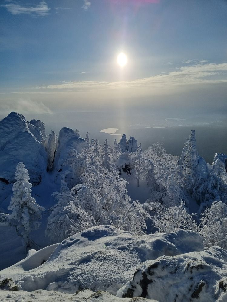 Photo #11931467