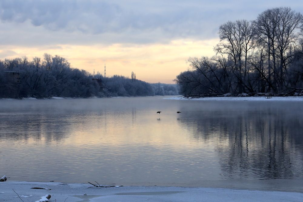 Фотография автора Колосова Елена