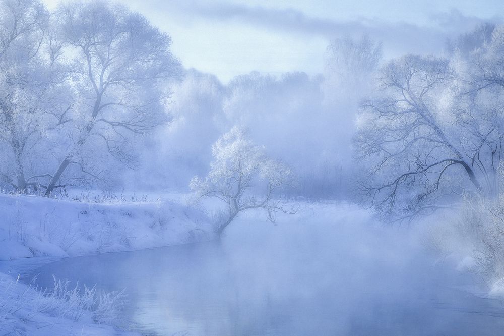 Photograph by Гусева Елена