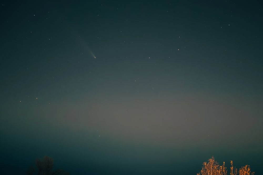 Фотография автора Алина Руденко