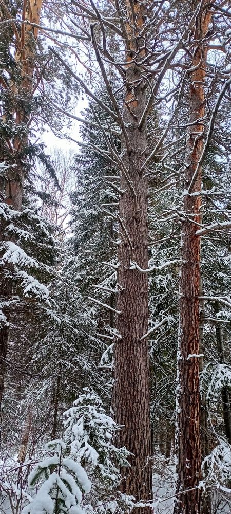 Photograph by Ломаев Григорий