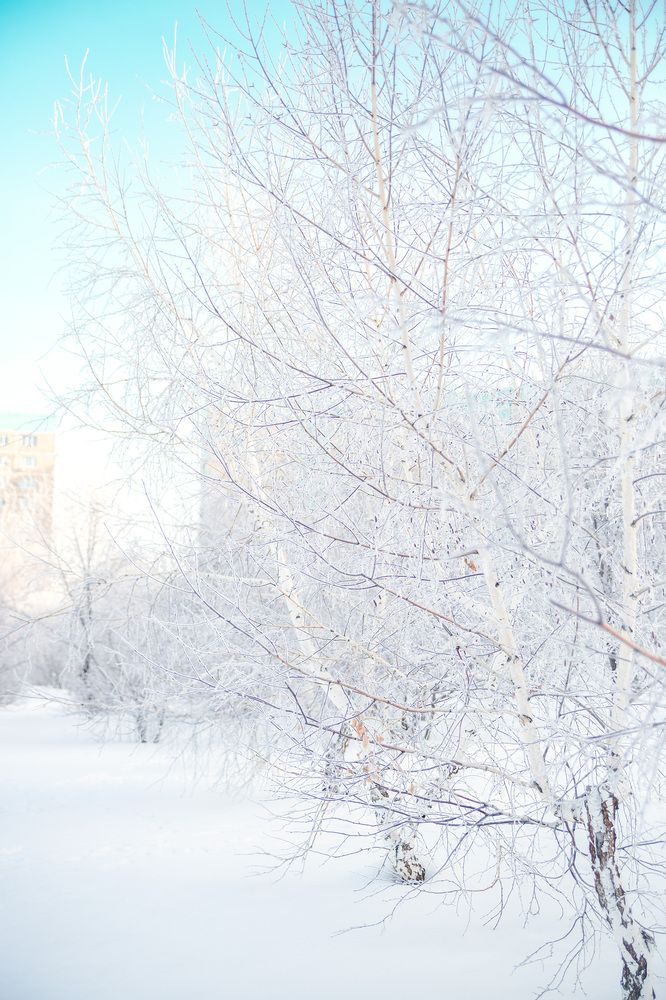 Photograph by Марина Комина