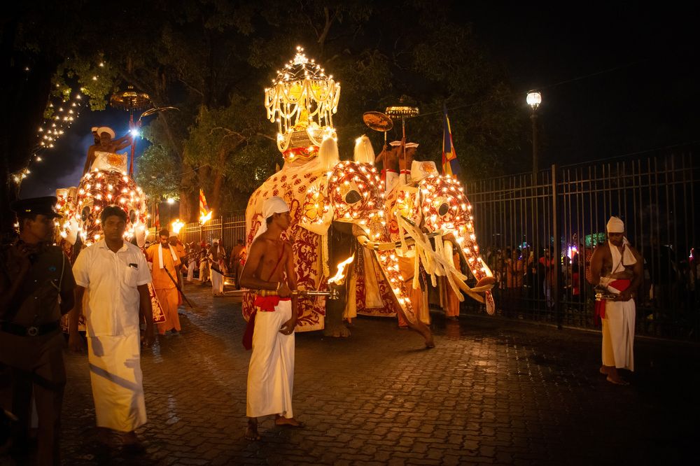 Photograph by Shehan Dondeenu