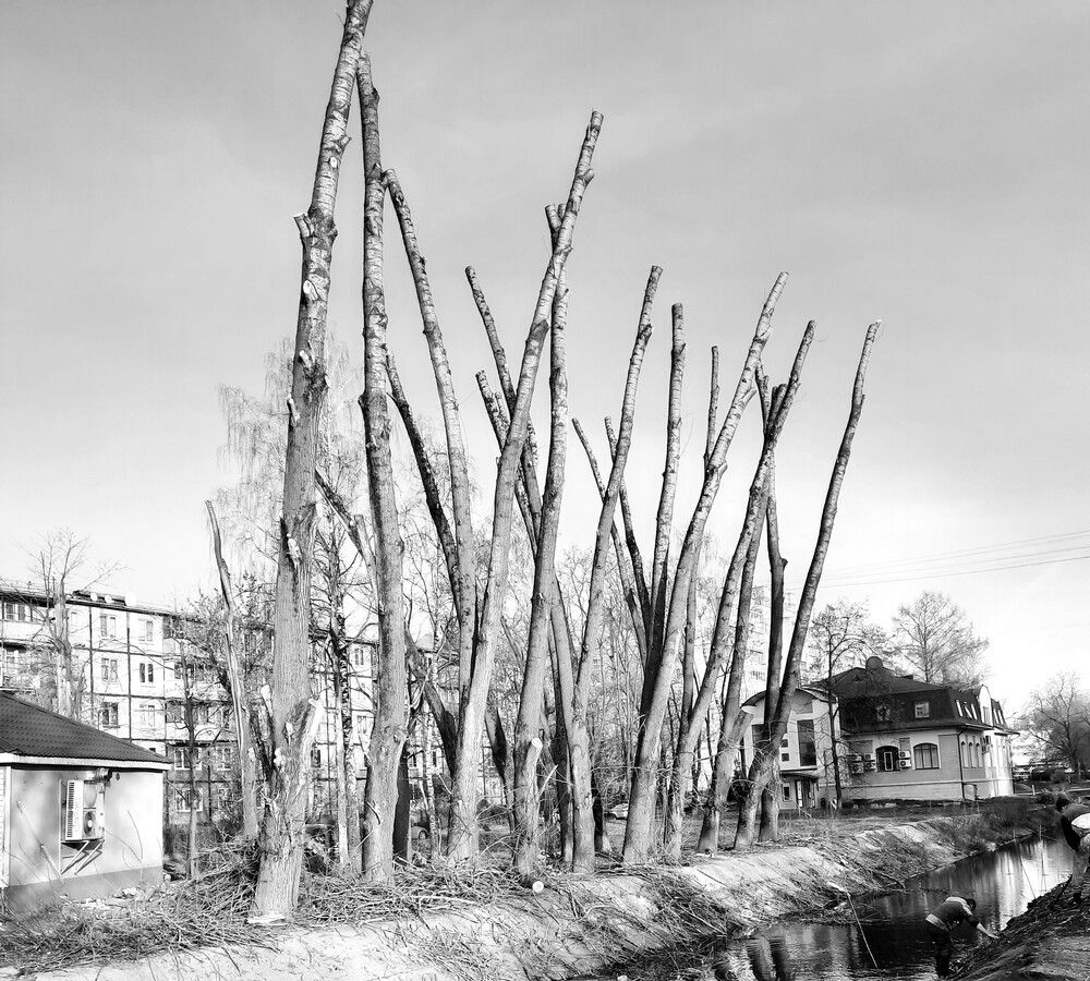 Photograph by Михаил Трусов