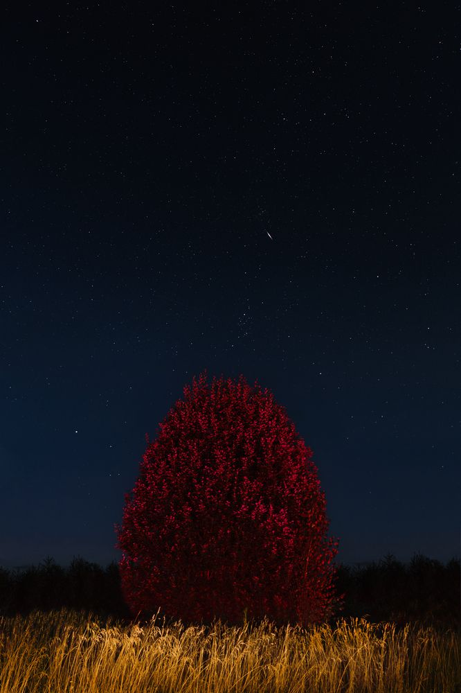 Photograph by Виктория Попкова