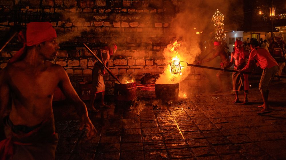 Photograph by Shehan Dondeenu