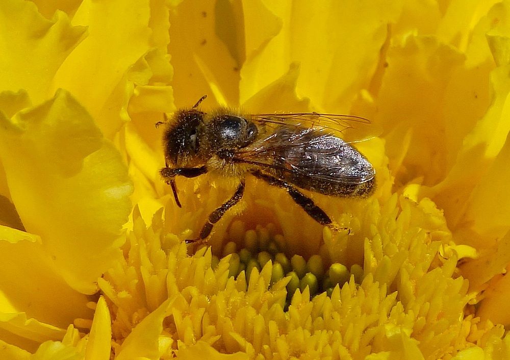 Photograph by Виктор Решетников