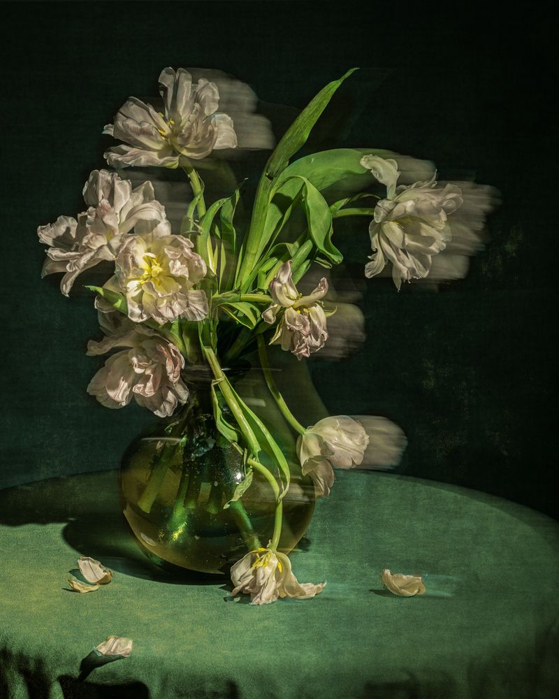 Photograph by Светлана Рубникович