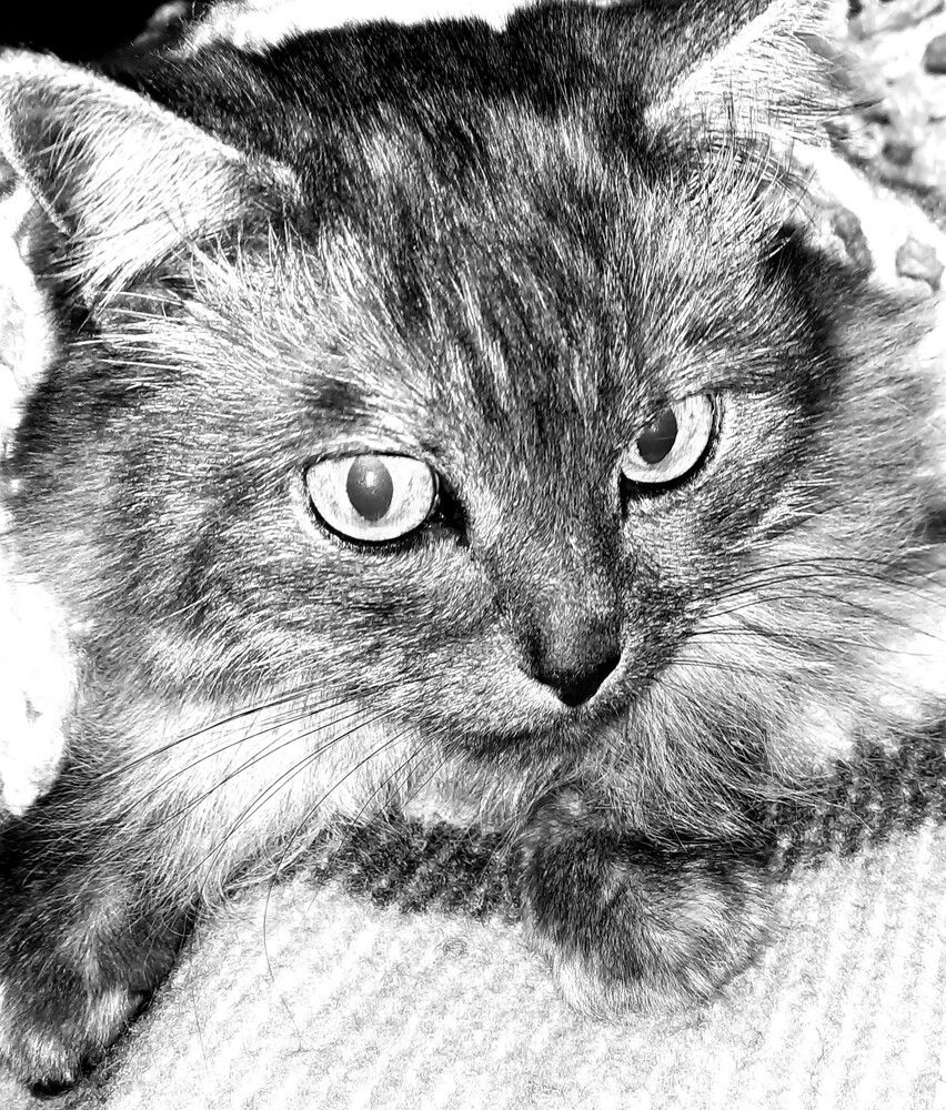 Photograph by Михаил Трусов