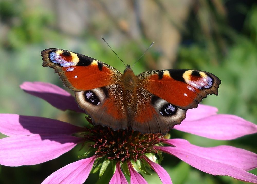 Photograph by Виктор Решетников