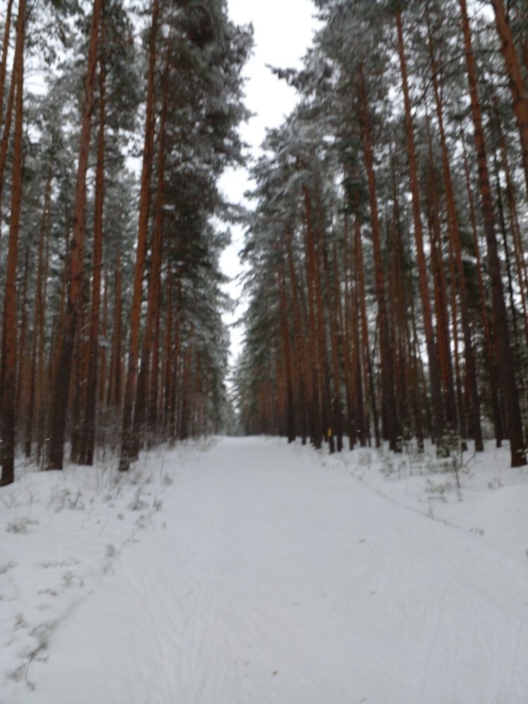 Photo #11931687