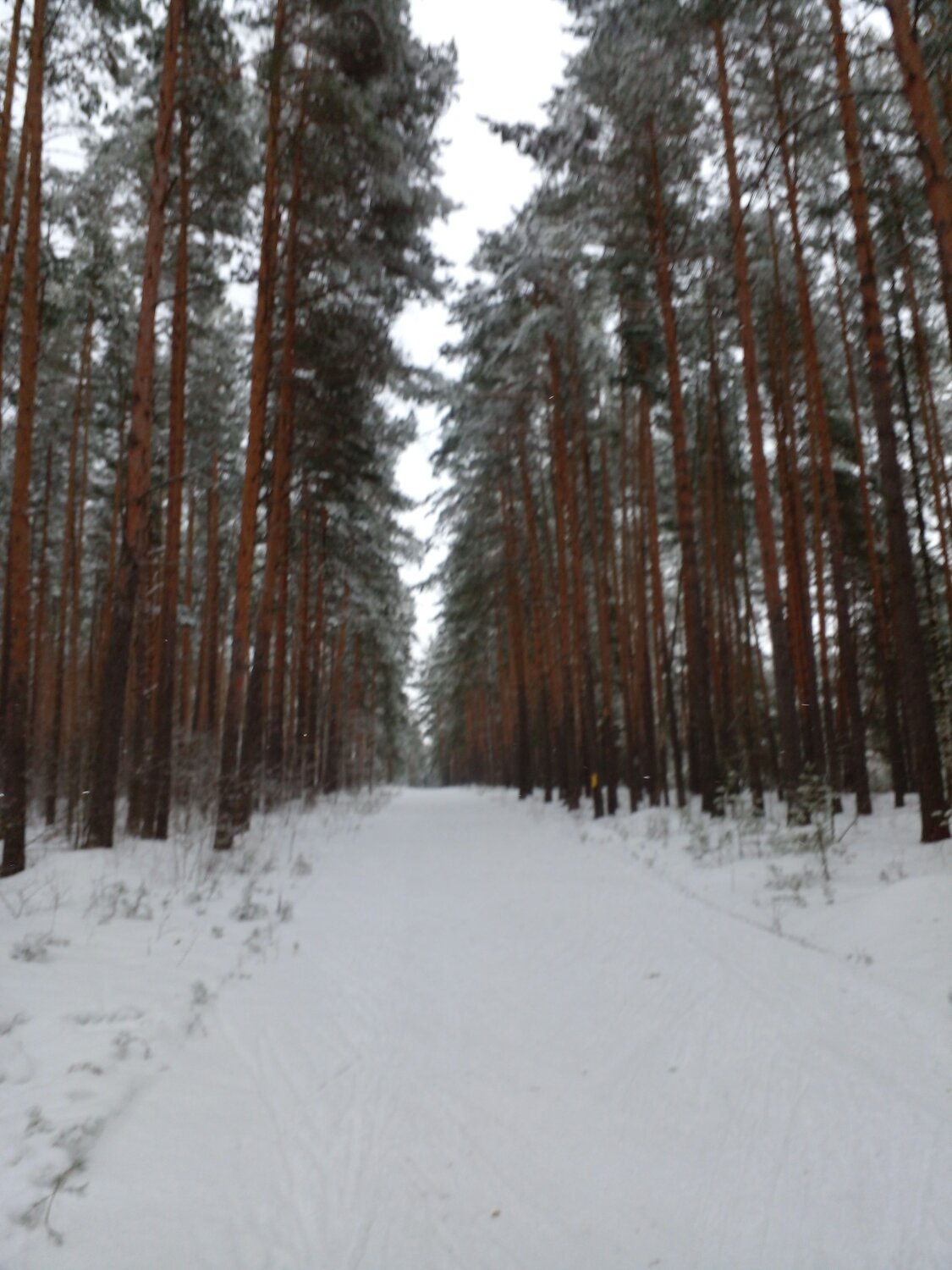 Photo #11931687