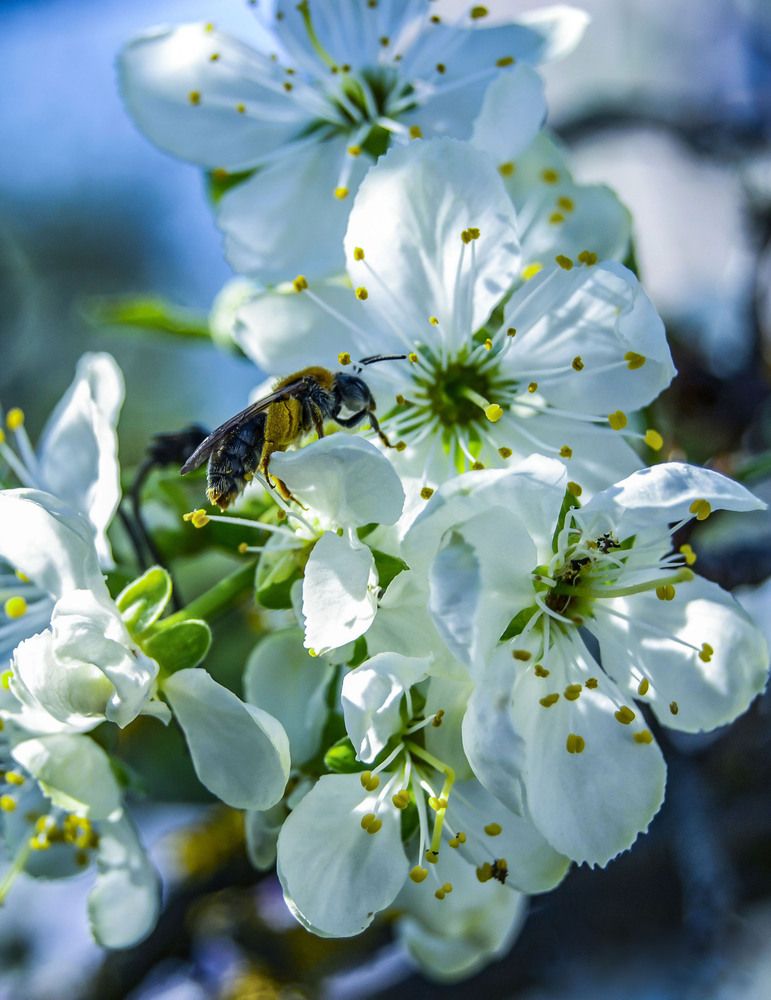 Фотография автора Геннадий Коробов